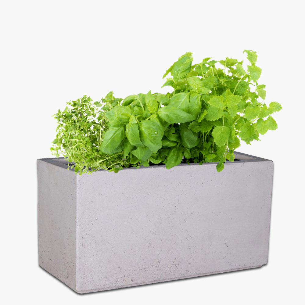 Chunky Trough Concrete Pot The Pot & Planter