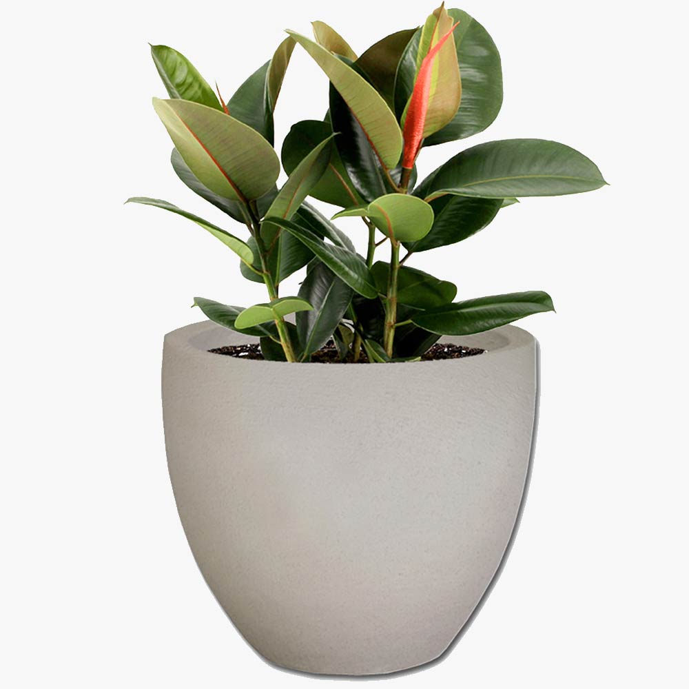 Egg Concrete Pot The Pot & Planter