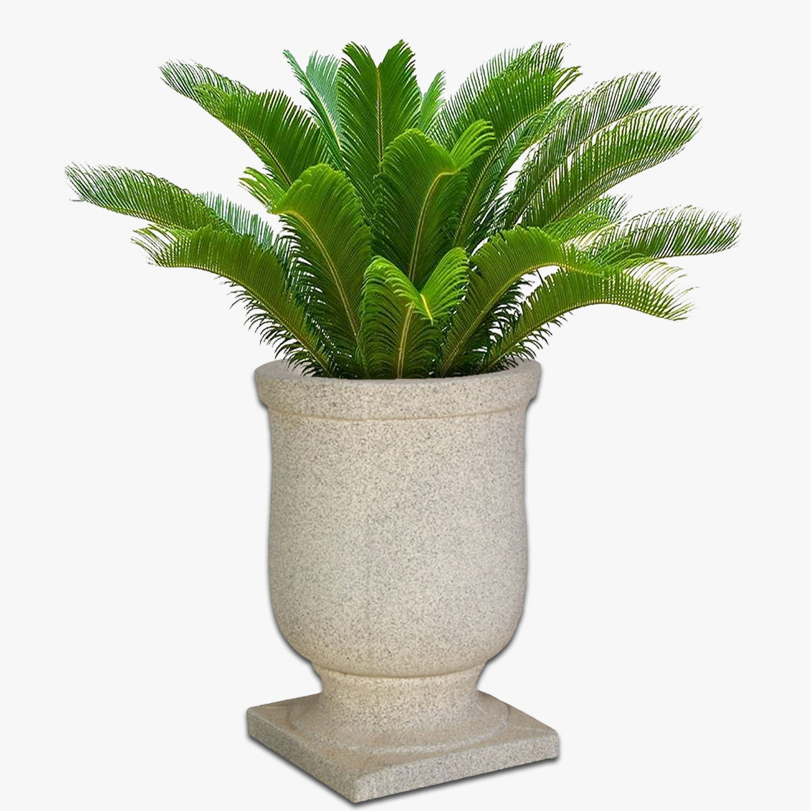 Plantation Concrete Pot The Pot & Planter