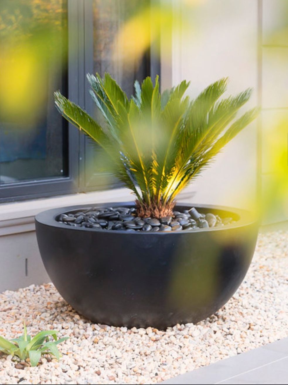 Feature Pots | The Pot & Planter