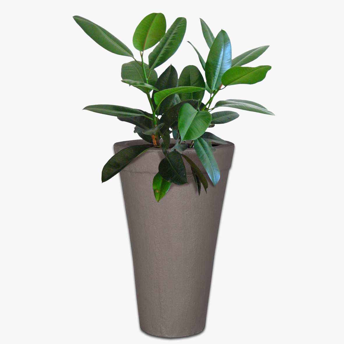 Blake Concrete Round Pot The Pot & Planter