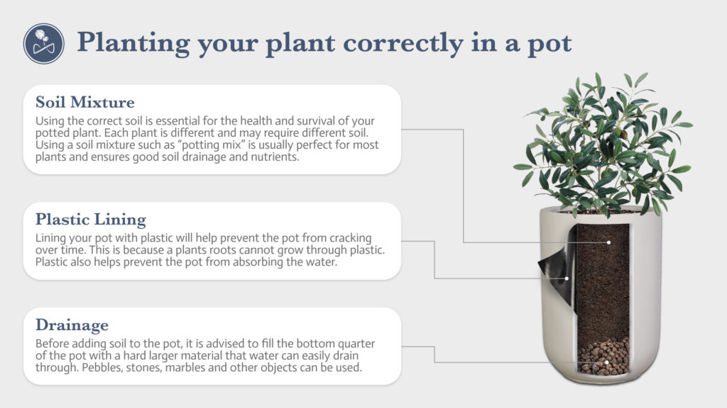 FAQs | The Pot & Planter