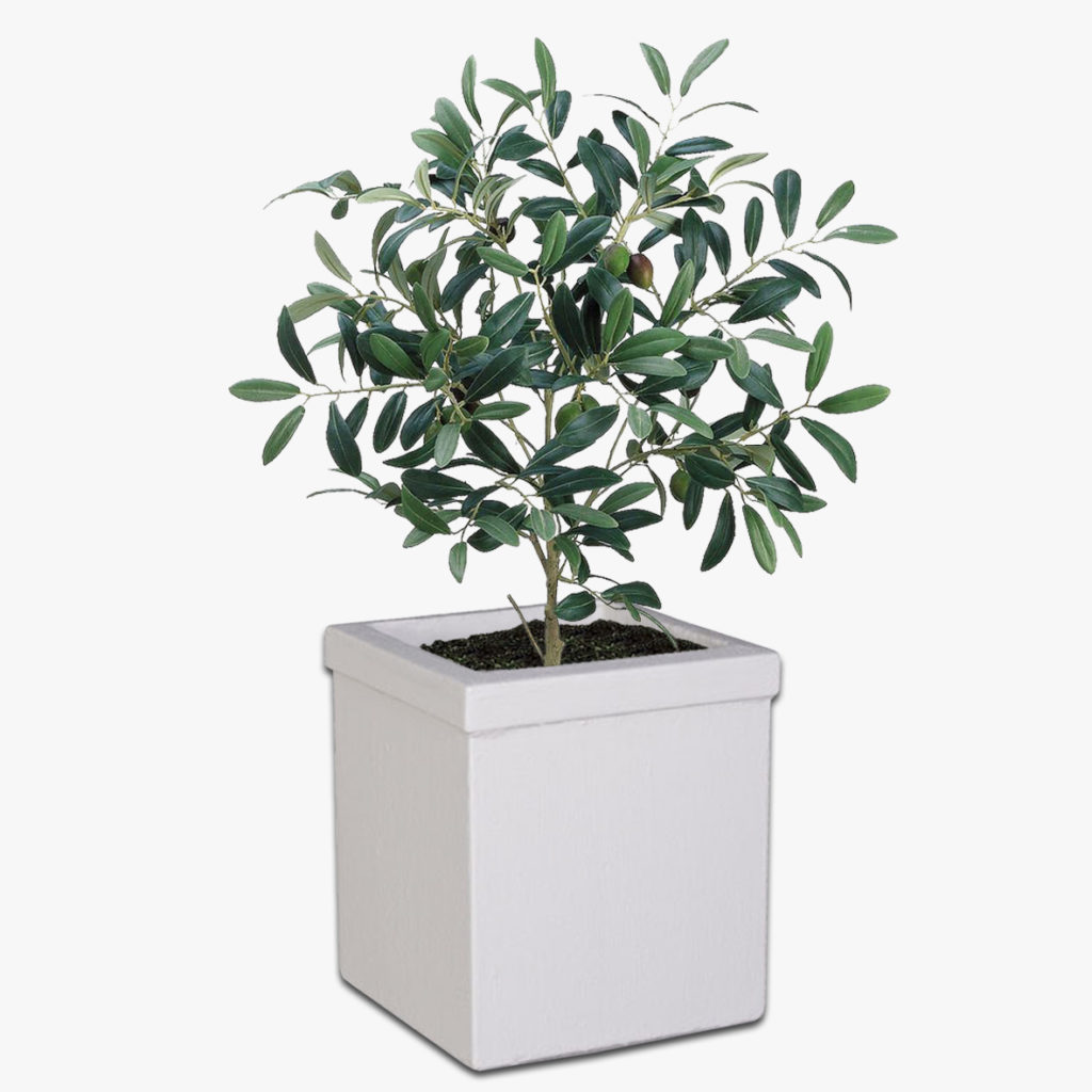 Concrete Pots thepotandplanter