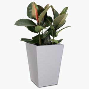 Windsor-web squared pot