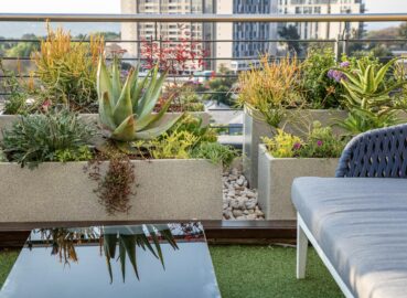 The Best Pots and Plants for a South African Balcony or Rooftop