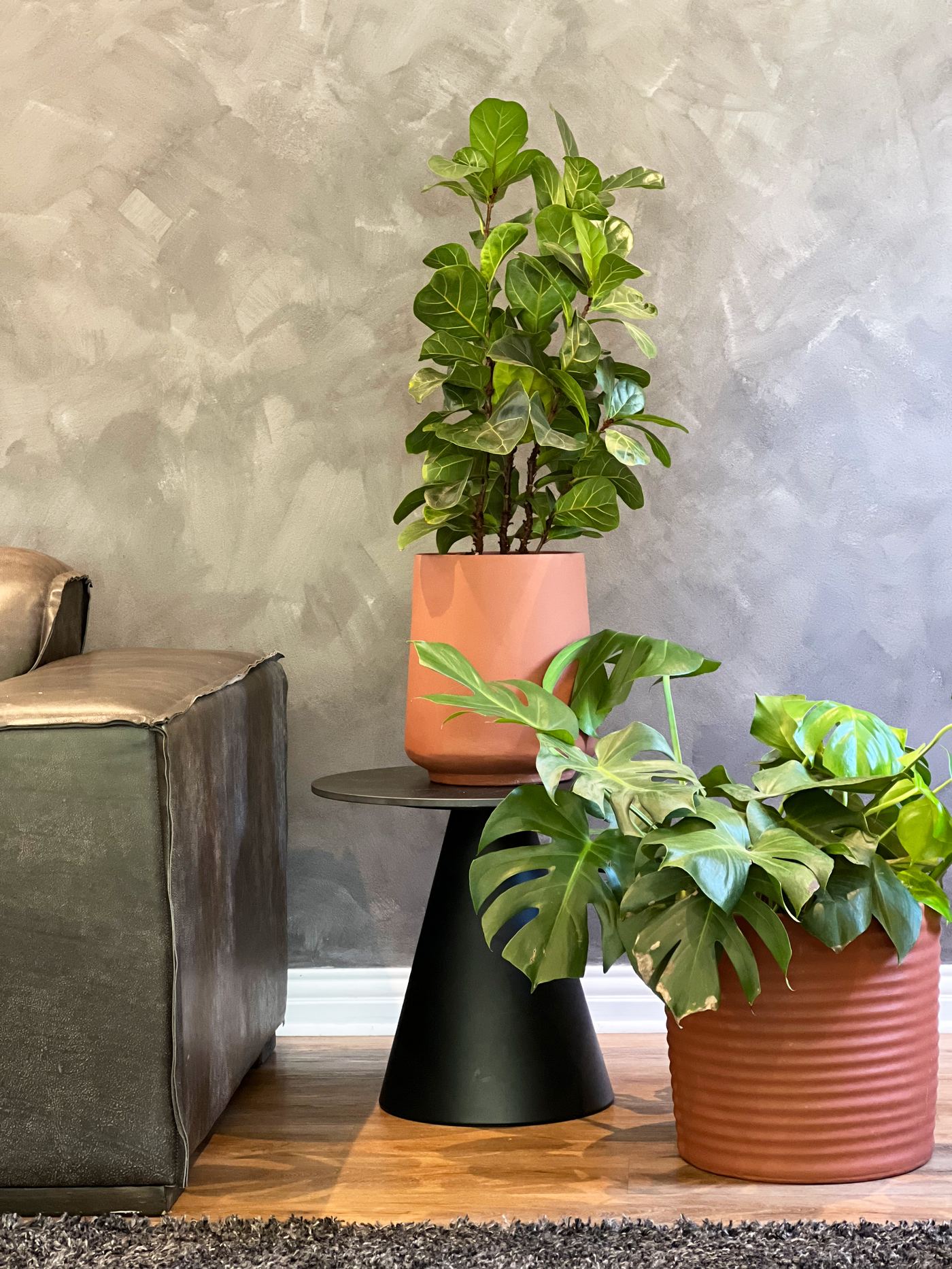 Indoor terracotta planters