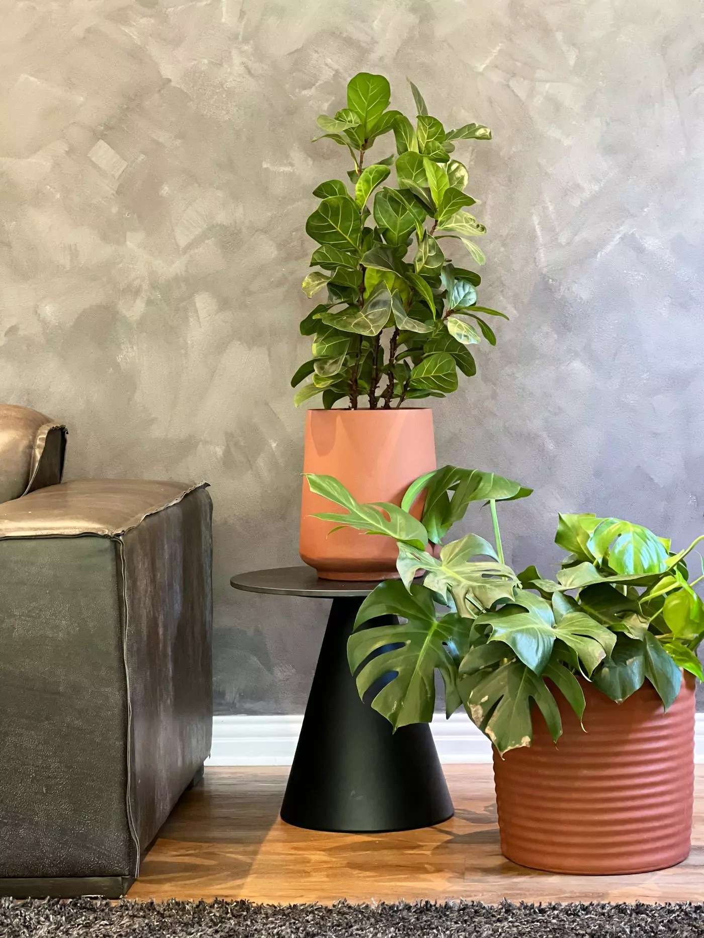 Indoor terracotta planters