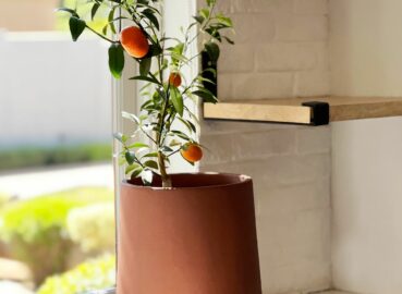 Concrete vs Lightweight Pots: Which Is Right for Your Space?